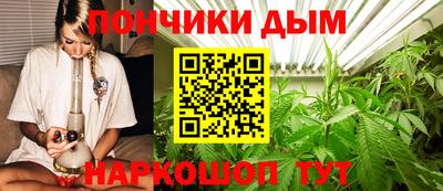 гашик Пенза