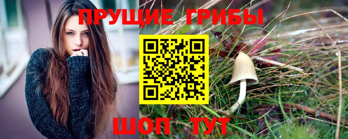 сколько стоит  Вход с VPN  Советская Гавань  Псилоцибиновые грибы Psilocybine cubensis 